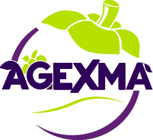 AGEXMA Logo