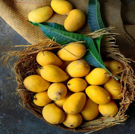 Mango Orgánico