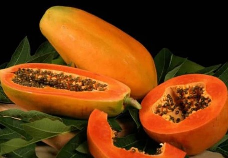 Papaya Orgánica